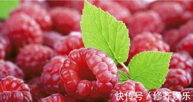 sod|菊花加一宝,每天一杯,能养肝明目,视力也好了,值得分享给家人