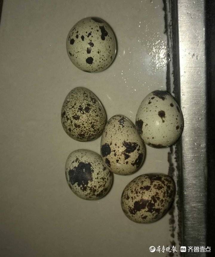 壹粉食堂｜美味可口的“火腿抱蛋”你做过吗？不妨也来试做下吧