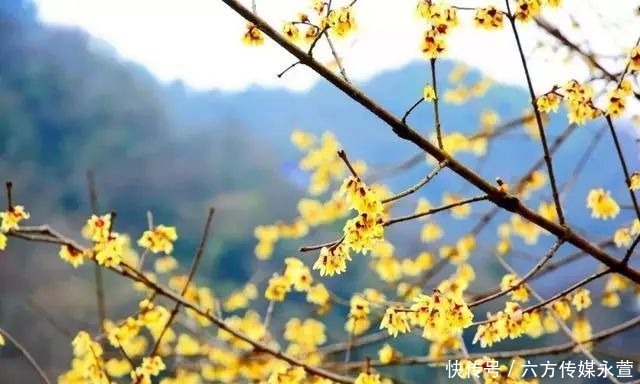 安排|问道武当山＋踏雪神农架，您的冬游计划已安排！