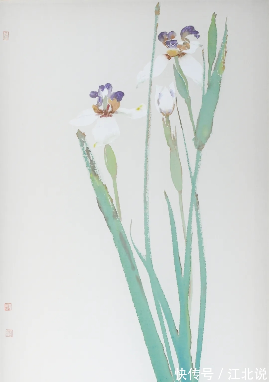 南田&李恩成没骨花鸟画，得南田先生之逸趣
