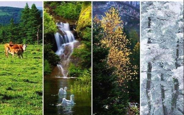 古人总是选择在秋后问斩,这其中有什么讲究吗?