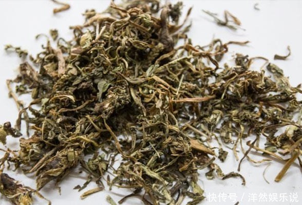 艾草|祛湿“最狠”的不是薏米,也不是红豆,而是生活中的5件小事