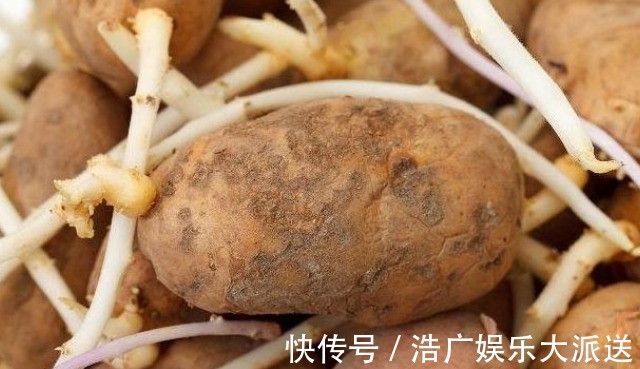 马铃薯|转告父母3种“食物”就算已经发芽,也可以放心的吃!