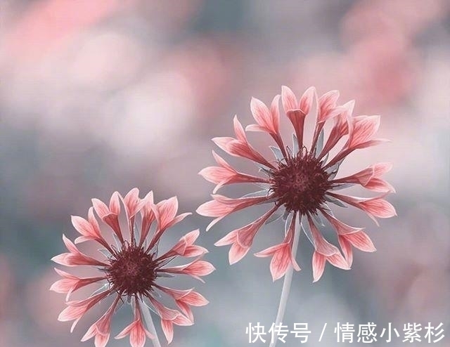 好的孤独!看到内心都发颤的话,句句精品,道尽人生百态!