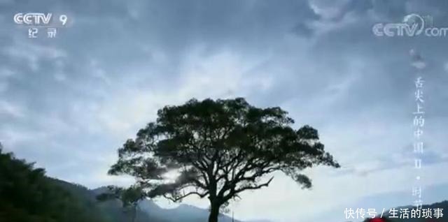 没吃过这里的百叶,以后行走中国,都不好意思说喜欢吃豆制品