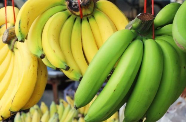 荔枝|这4类水果内含甲醛?大人可要留点心,建议少给孩子吃