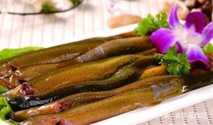 美容|想长寿要会吃,4种食物不错过,淡化皱纹,养颜美容,身体棒棒哒