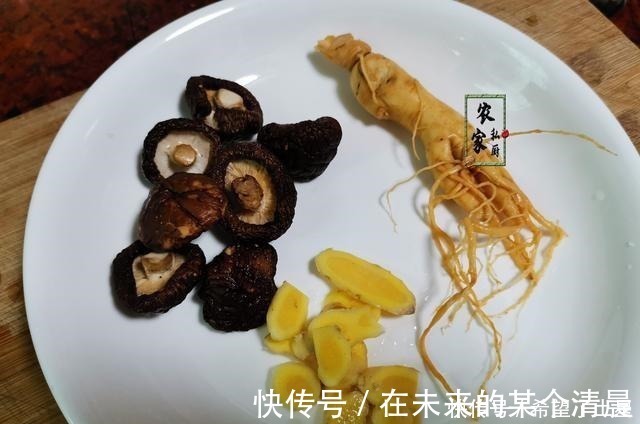 人参|它和鸡肉是绝配，有钱人常吃，大补营养极高，家里有条件买点炖汤