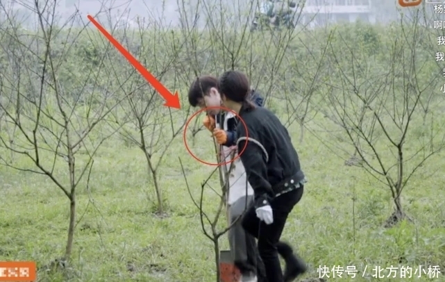 张艺兴 辟谣还是逼婚?黄磊:艺兴30岁和杨紫不正合适?回:不懂爱!