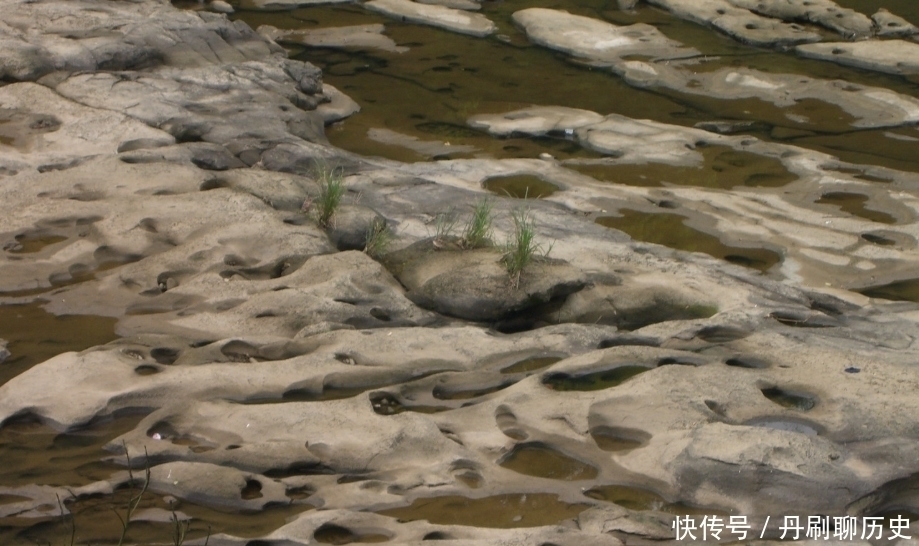 实拍居延海：本是死亡之海，16年补水，重新复苏不再干涸