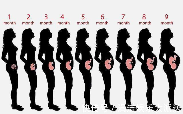 孕期|怀孕有多辛苦五张图带你看看孕期全过程,孕妈们辛苦了