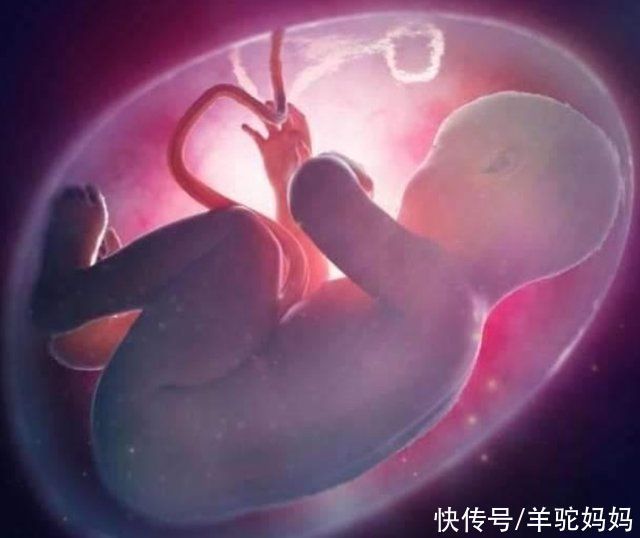 怀孕期间|怀孕中的宝妈注意了，这2个阶段是胎儿“熟睡期”，不要轻易打扰