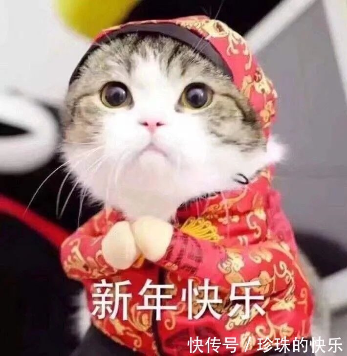 拜年|必存!新年拜年表情包丨第310期热门表情包