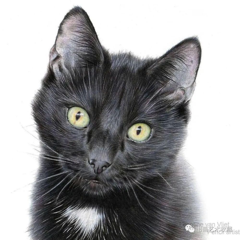  美女|一匹马画了16年！美女学渣逆袭成功，坚持下来很酷！