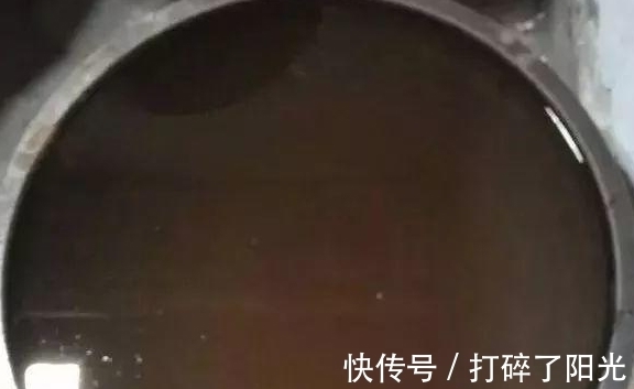 喷洒|快立春了,家里花草养得多就多备点它们,防范病虫害