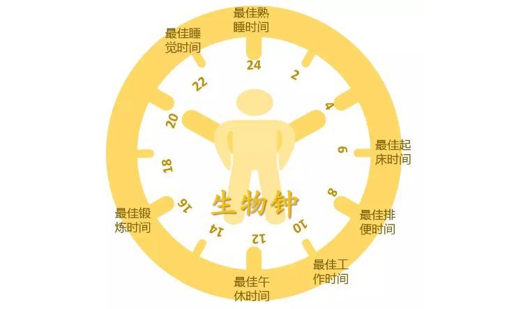 结肠黑变病|你今天大便了吗？