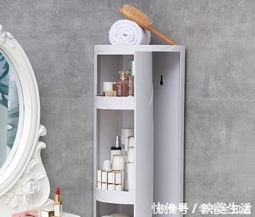 置物架|去嫂子家上厕所，刚打开门吓一跳，设计太有才了回去也照着装