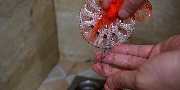 地漏|卫生间总有异味3个源头易被忽视,2招轻松去异味