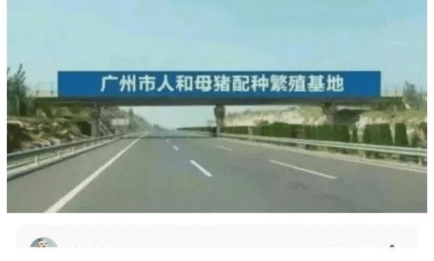 性能|神回复：猪明明在各项性能都比狗好，为什么没有警用猪？