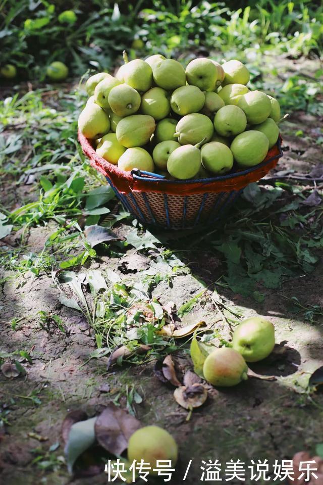 中年|苏州女子探秘南疆巴州:这是一处色彩的世界,超出你的想象