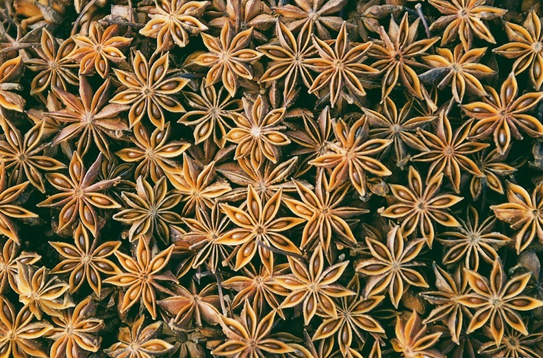 八角虽香,用对了才能发挥出香味!多数人不知道,导致多放也不香