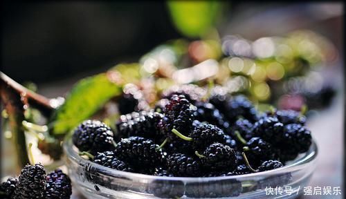 天然“养胃”的5种食物,胃不好的人多吃点,能消炎、保护胃黏膜