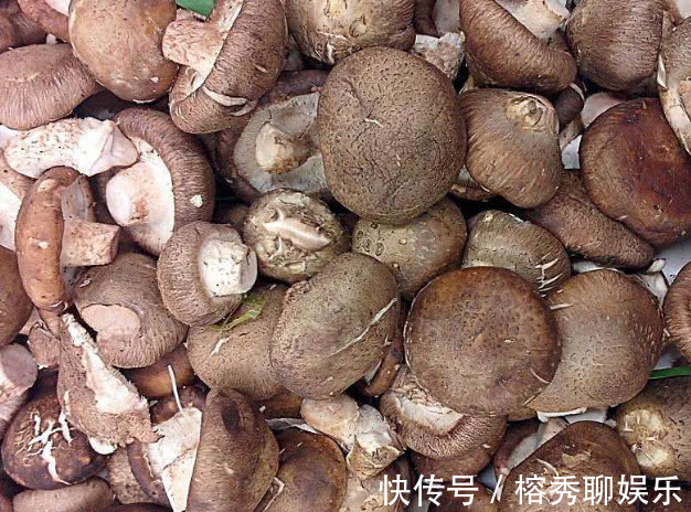 女人|天然“黄体酮”，女人不妨常吃，平衡内分泌，“乳腺癌”不敢来