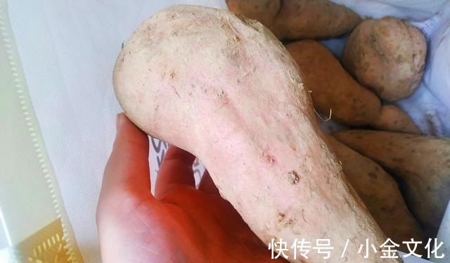 保存红薯，70岁的父亲教我1个土方法，红薯经久耐放，越放越甜