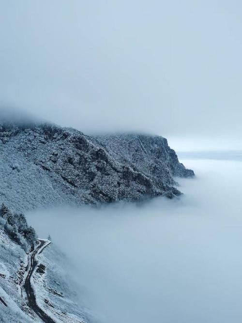 大官山一景|这山 这路 这雪……美丽又“冻”人