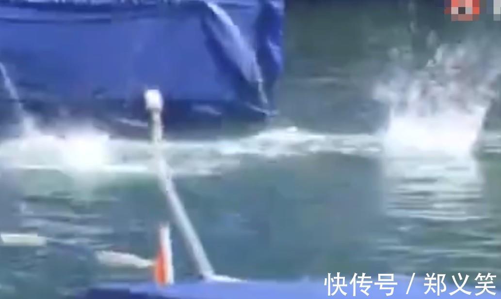 巴西队|全红婵搭档失误!307C直接炸海,水花飞起四溅,中国队的压力来了