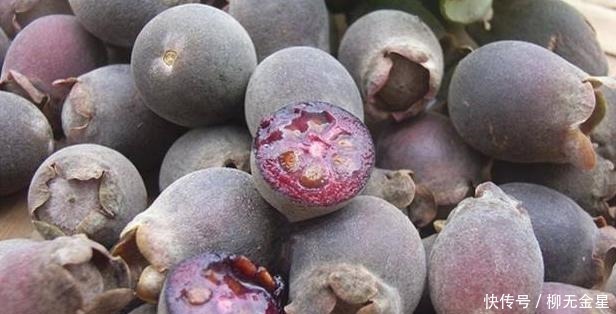 桃舅娘|它在山里成片生长,却一直少受重视,殊不知果实如此的珍贵