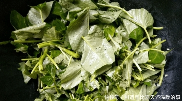 惊蛰后，这蔬菜正上市，口感脆嫩营养高，过季买不到，别错过