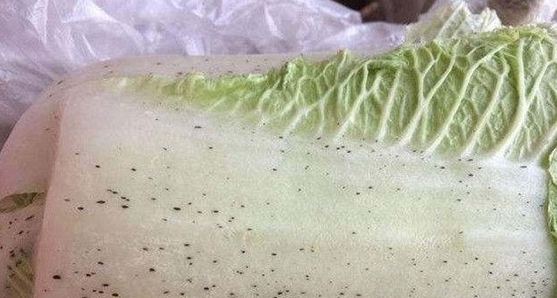 胶带|别再吃以下食物了,被称为一级致癌物,很多人还在傻傻的吃