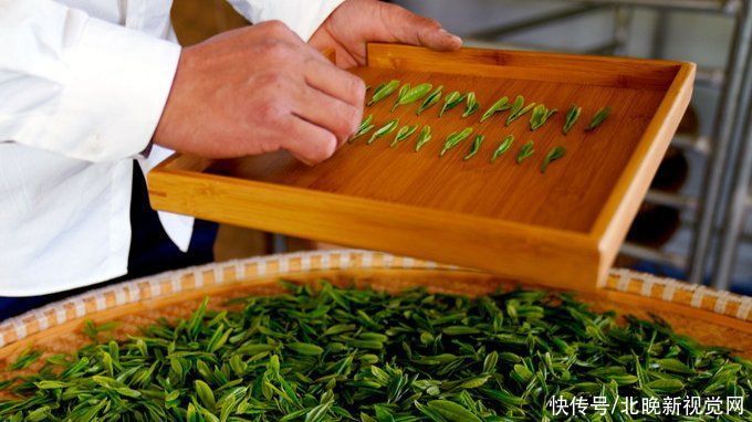 藿香正气水|小暑节气易使人心火旺盛，可饮用莲子心茶，清心消暑除烦