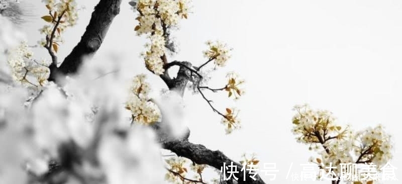 踏莎行·候馆梅残|欧阳修很经典的一首咏梅词,通篇句句是经典,成全了梅花的美名!