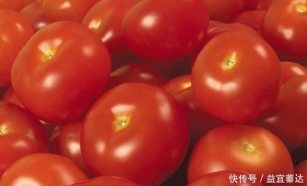 让人倒下的不是病，是无知吃西红柿的4大禁忌，很多人不了解
