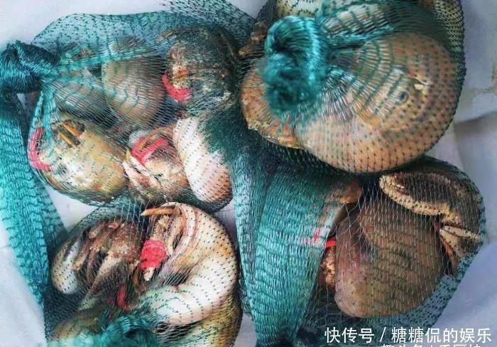 误认为是“大海螺”,花250块钱买6斤,回家上锅一蒸,太惊喜了