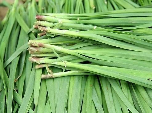 好处|常吃韭菜有着不少好处，但切忌与一物同食，偏偏却有很多人犯错误