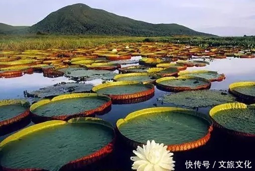 河北旅游必去的八大景点，没游其一就算白去了