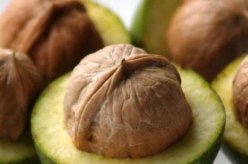 核桃仁|吃核桃到底能补脑吗?推荐两种做法,补气养血利三焦,百吃不腻