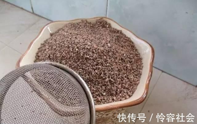 盆里扔2样东西,养花10年不烂根,叶子油光瓦亮,花苞挂满枝头