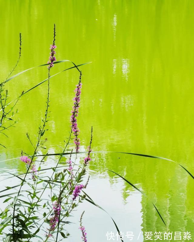 画堂|每日一词《踏莎行》赏析