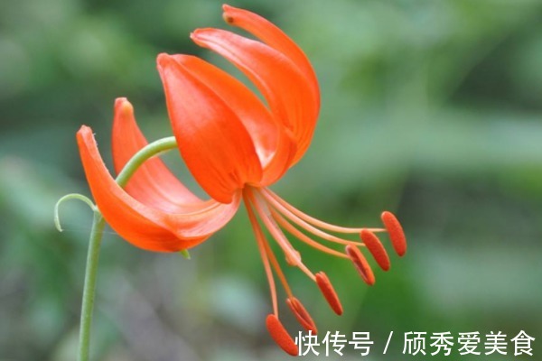 太上感应篇@俗话说:赚得金山一座,不如多积阴德,想发大财,多做4件积德事