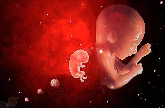 孕妇|当孕检结果不符合我们的愿望时,你会听医生的话吗?