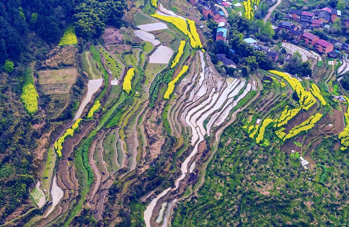 忠县大岭梯田：宛若盘山的时光天梯