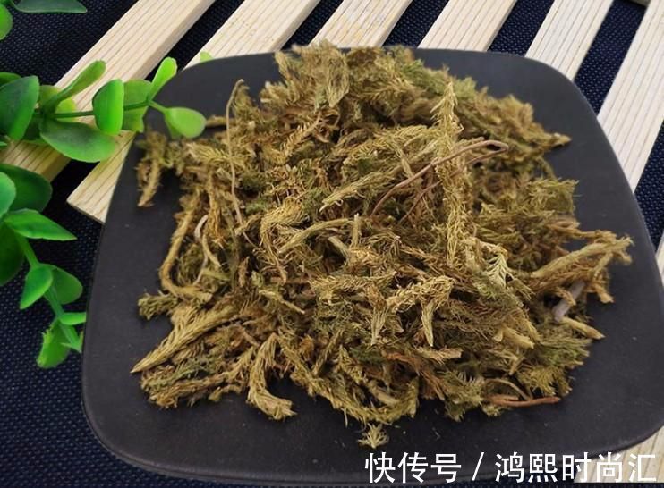 筋骨|千年一味“伸筋草”！拉筋舒筋，去寒气湿气，福泽众生，深藏功名