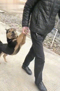 |搞笑GIF:是谁说喜欢苗条的妹子 你们看看这位美女怎么样?