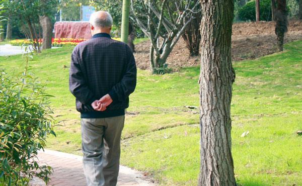 进食|为何日本人很少运动,人均寿命却位居全球首位?原因其实很简单