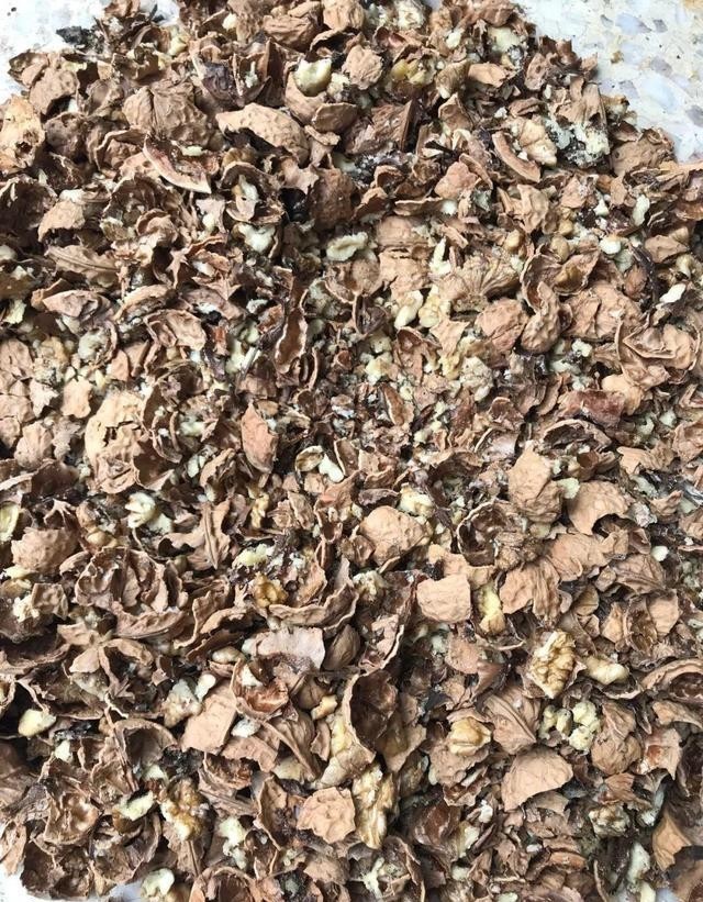 客厅|再有2个月就要过年了,买盆君子兰,摆在客厅,春节就能开花