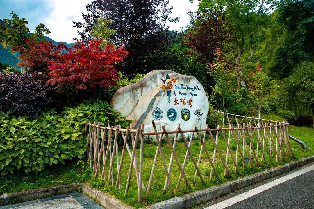 龙门山脉|走进天府旅游名村｜枕山望水，茶香悠悠